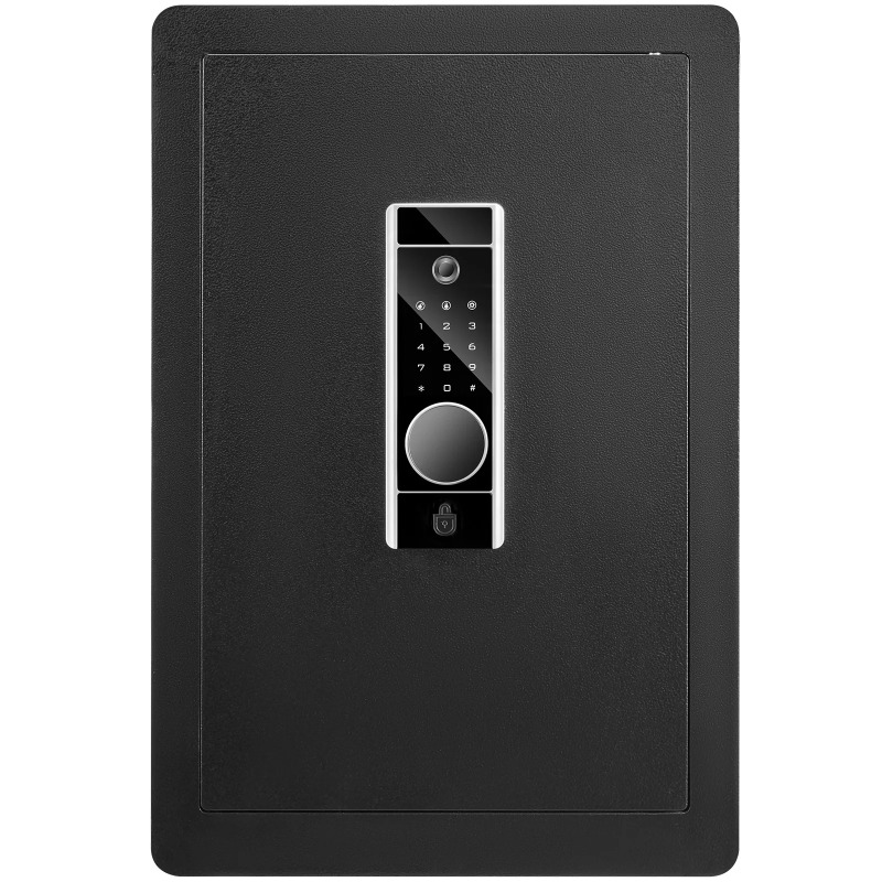 Fire Safe Document - SucceBuy 전기 금고 2.2/1.8 입방피트 지문