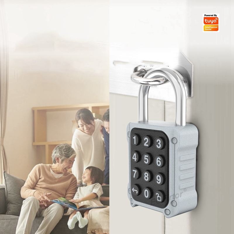 Lockbox Key Secure - EGFirtor Tuya APP 보안 안전 가방